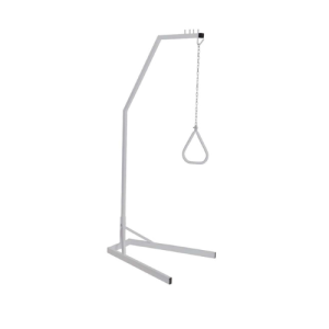 Overbed lifting pole and handle